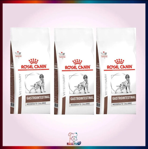 غذا خشک سگ رویال کنین،گسترو