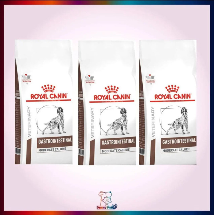 غذا خشک سگ رویال کنین،گسترو