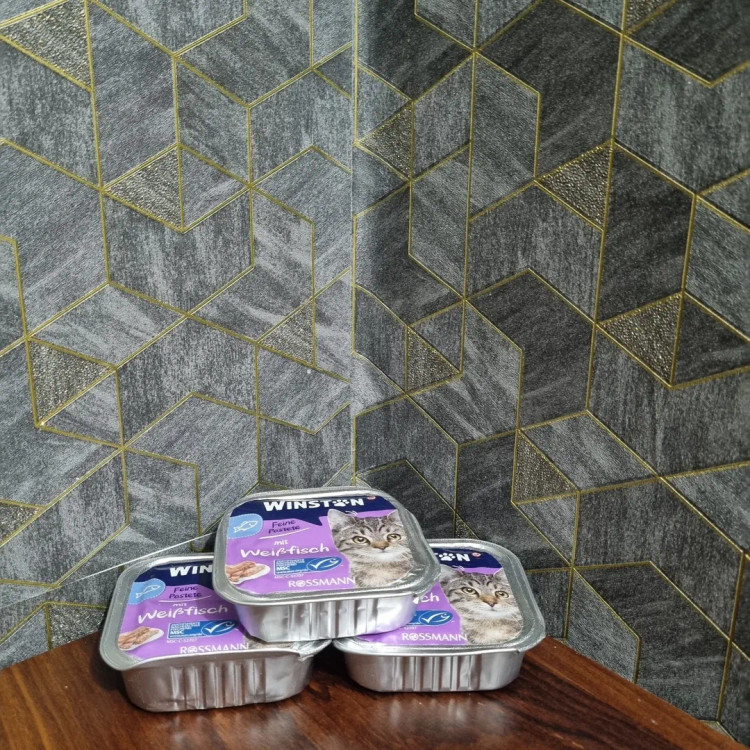 ووم وینستون گربه طعم ماهی سفید-انقضا 2026