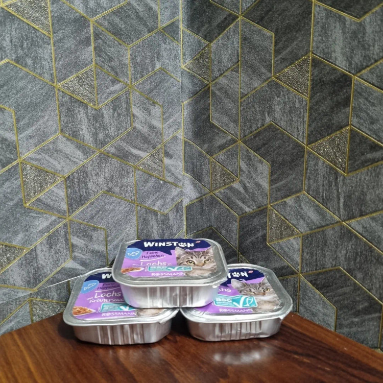 ووم وینستون گربه طعم قزل االا-انقضا 2026