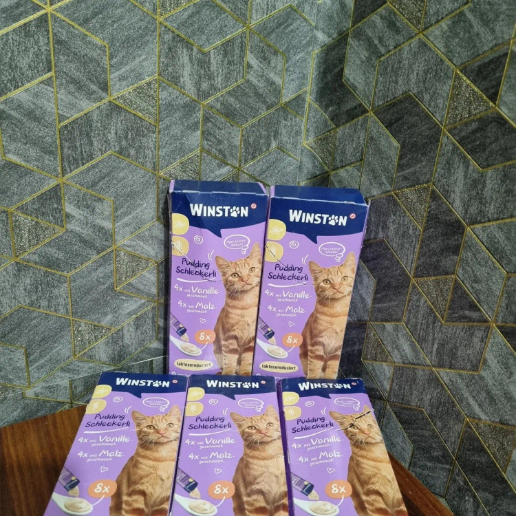 بستنی گربه وینستون طعم مالت و وانیل۰۶/۲۰۲۶ قیمت برای یک بسته ۸ عددی میباشد