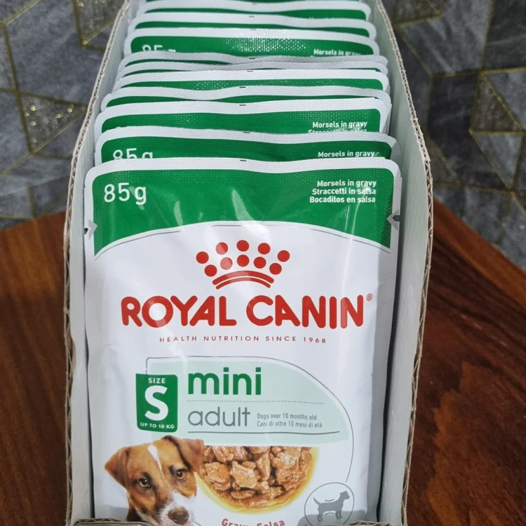 پوچ مینی ادالت سگ رویال کنین